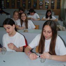 m_DSC_0342 m_DSC_0342