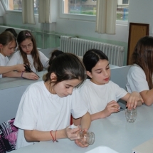 m_DSC_0349 m_DSC_0349