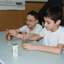 m_DSC_0362 m_DSC_0362