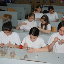 m_DSC_0373 m_DSC_0373