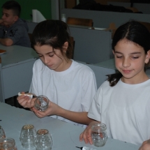 m_DSC_0375 m_DSC_0375