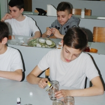 m_DSC_0376 m_DSC_0376