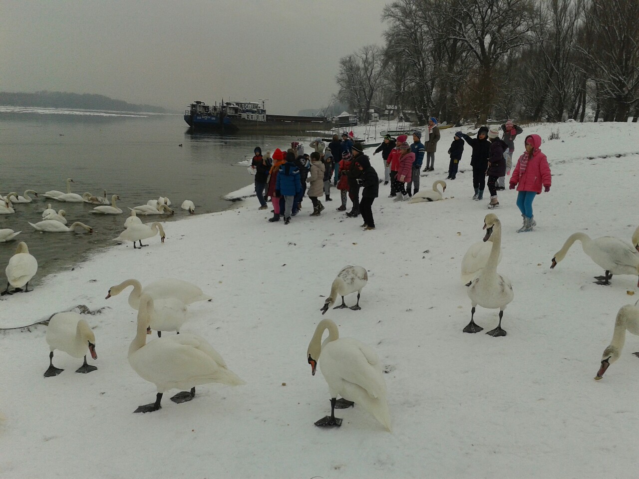 image-0-02-05-39e623f2f84c22e331b466464799ce9ff1ce859c953737ebce33105971d2aad6-V - kopija