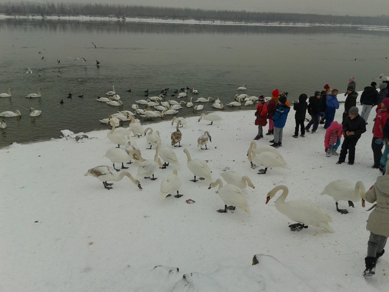 image-0-02-05-5682ad350f1eca08e84d87fdefcce8523fc4da7148831ff84ff6a432a5b6b741-V