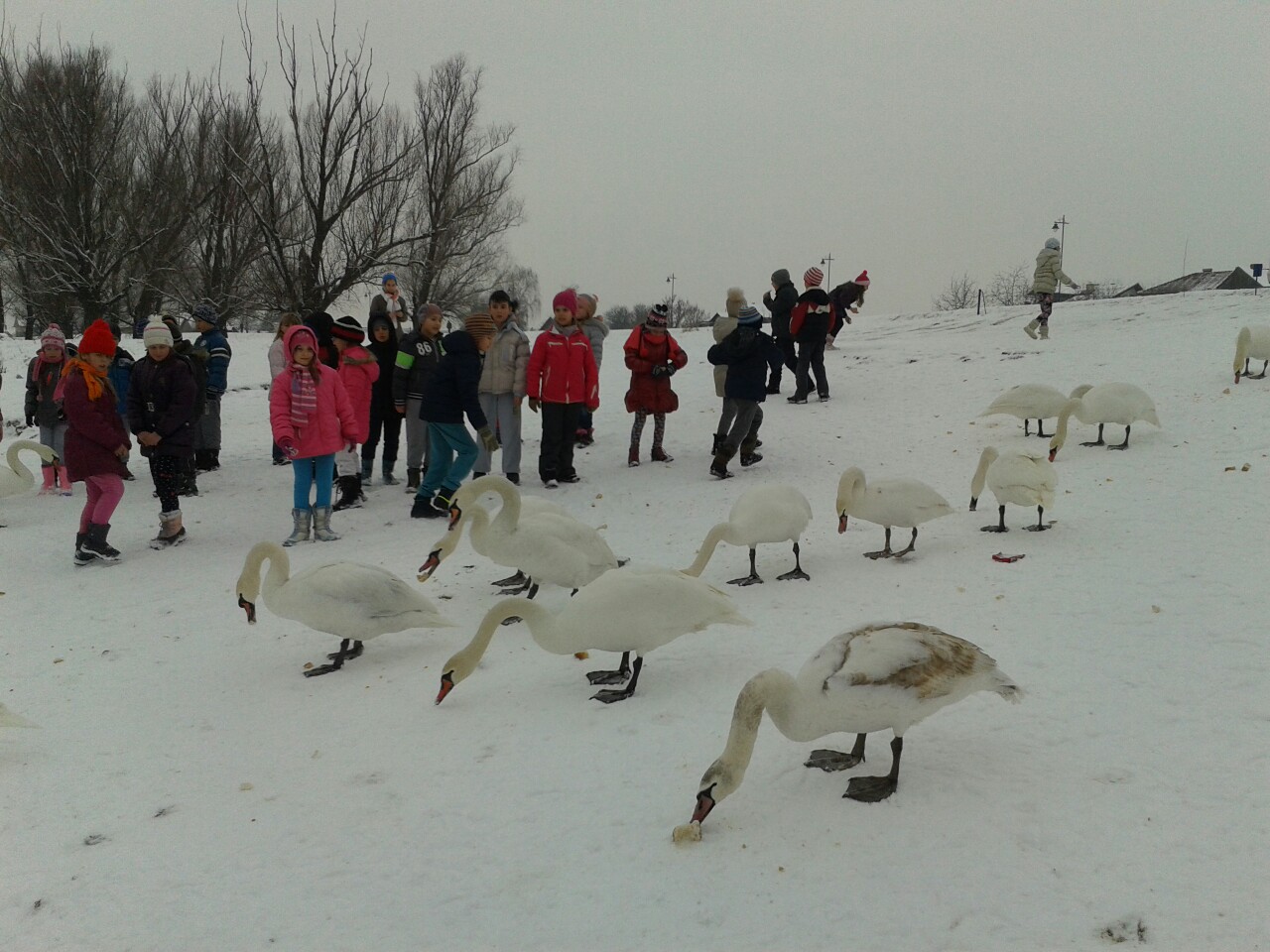 image-0-02-05-5eda94d4b3cf028ef199d24e78834beb75de461b77076a992ba3f189d4e7ac95-V