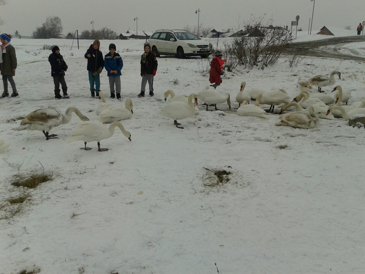 image-0-02-05-c321e93e72690ba450de706cfa4fbf33b94c02f2210d53a1daafa50e51cbf39c-V