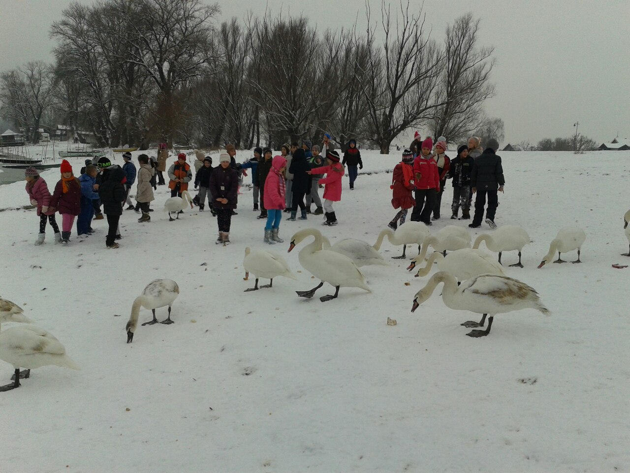 image-0-02-05-d02b6f77d70193371d5d2bd94900bd51d5a4810bc8184cd131f3603c7ad0433a-V