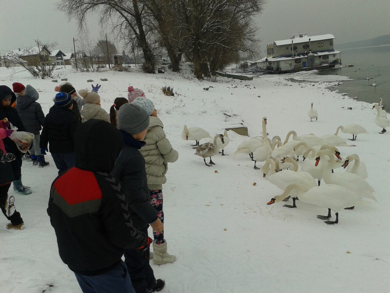 image-0-02-05-e394ec5b533346328f218810f060e9037ece4165c9f929b41afef5663849db71-V - kopija