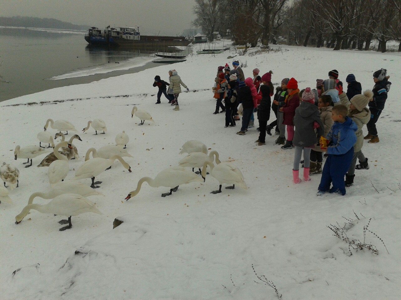 image-0-02-05-e6a7d6796b60cfc624d42c98e8821c65698448b8df13185b097b00ce4897908e-V