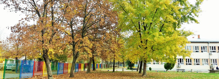 ОШ "Десанка Максимовић"