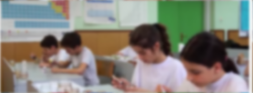 ОШ "Десанка Максимовић"