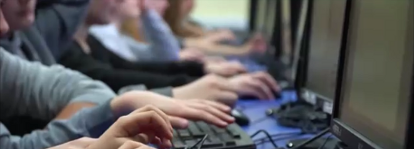 ОШ "Десанка Максимовић"