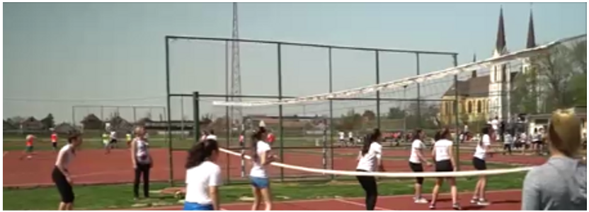 ОШ "Десанка Максимовић"